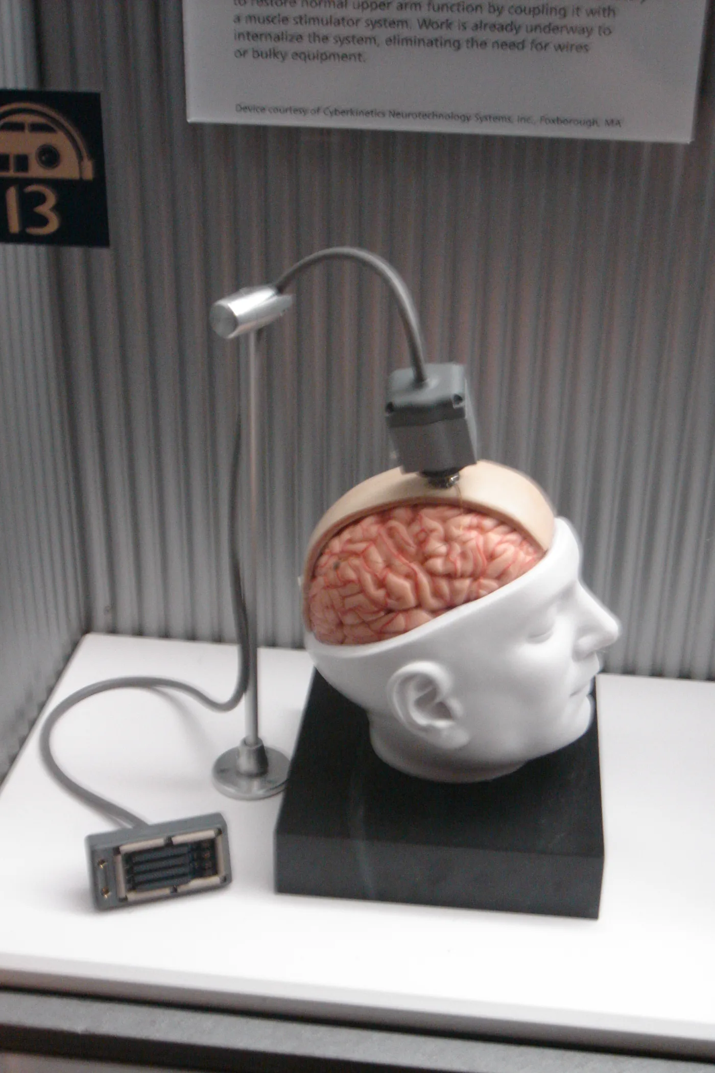 Interfaces cerebro-computadora